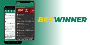 The Rise of Baji Cricket Betting A Comprehensive Guide The Rise of Baji Cricket Betting A Comprehensive Guide