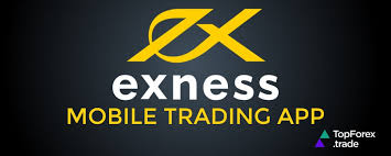 Comprehensive Exness Information A Guide to Trading Success