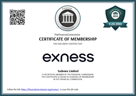 Comprehensive Exness Information A Guide to Trading Success