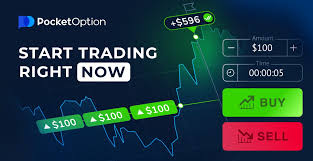 Pocket Option Crypto Trading A Comprehensive Guide